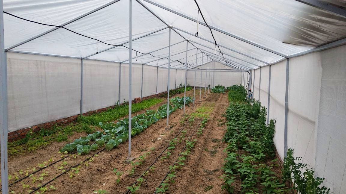 Metallic Greenhouses