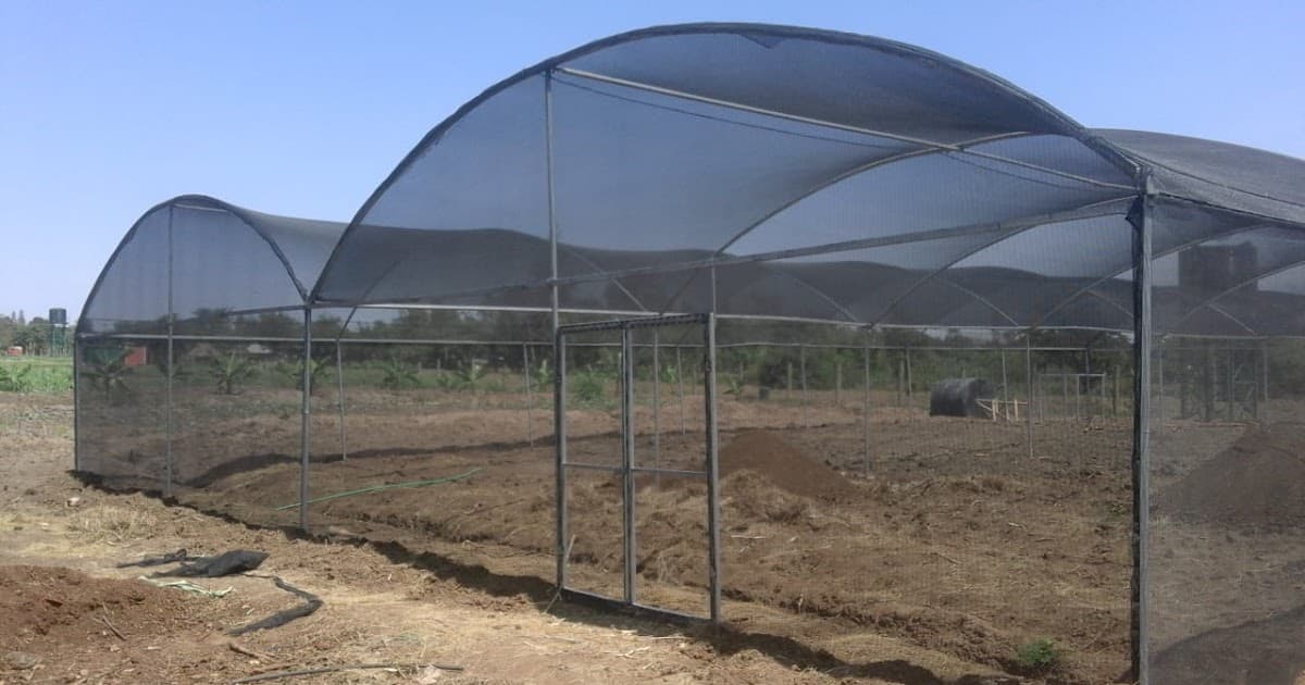 Shade Net Houses