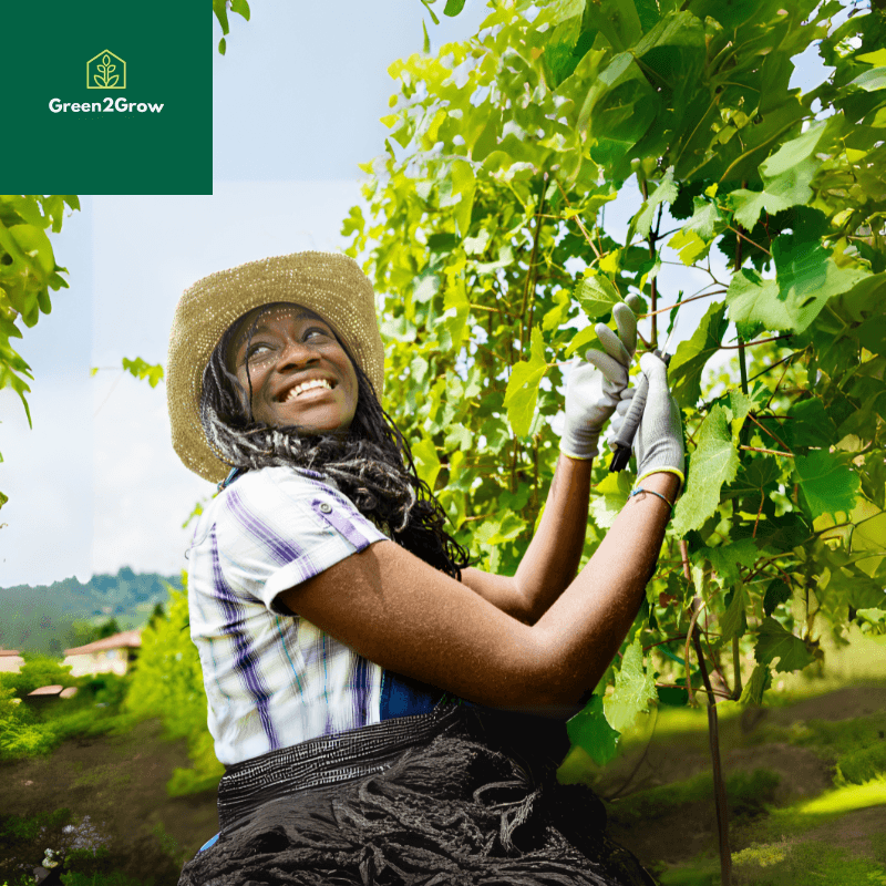 Women & Youth Empowerment in Agriculture