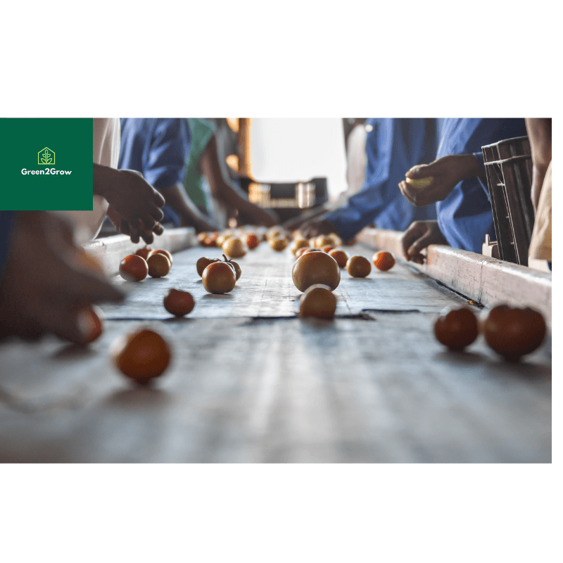 Creating Market Opportunities